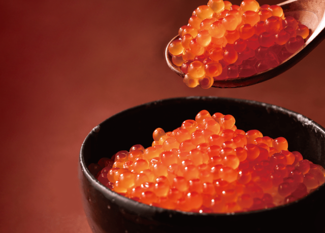 商品詳細 | 公式オンラインショップ